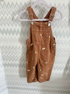 Zara Rust Brown Floral Embroidered Overalls